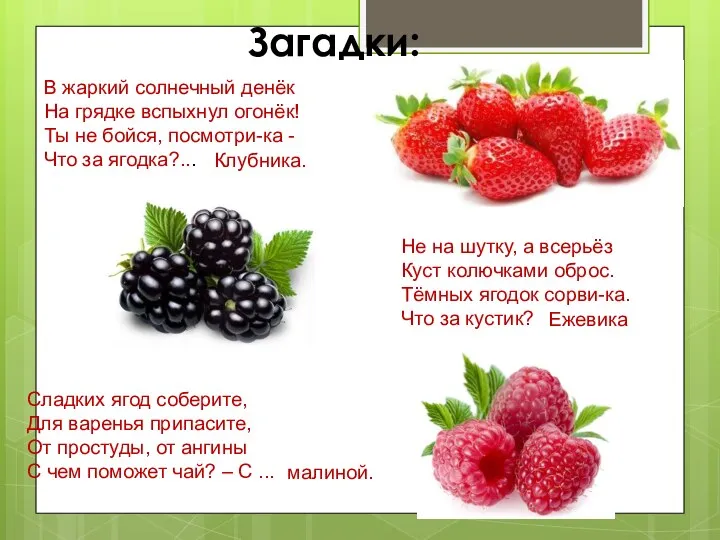 Загадки: В жаркий солнечный денёк На грядке вспыхнул огонёк! Ты не бойся,