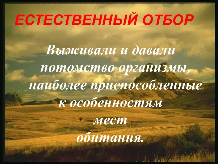 ЕСТЕСТВЕННЫЙ ОТБОР Выживали и давали потомство организмы, наиболее приспособленные к особенностям мест обитания.