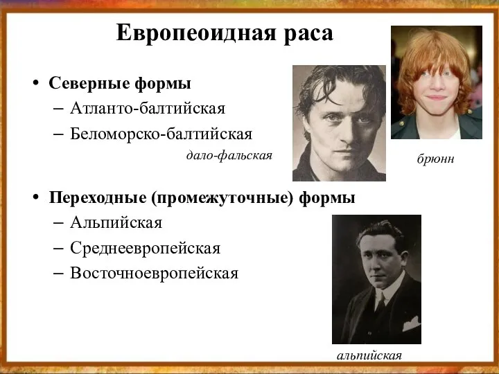 Европеоидная раса Северные формы Атланто-балтийская Беломорско-балтийская дало-фальская Переходные (промежуточные) формы Альпийская Среднеевропейская Восточноевропейская брюнн альпийская