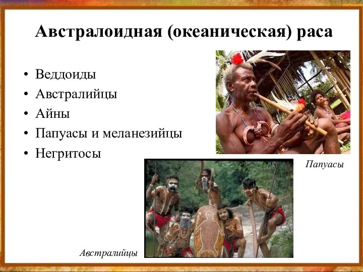 Австралоидная (океаническая) раса Веддоиды Австралийцы Айны Папуасы и меланезийцы Негритосы Папуасы Австралийцы