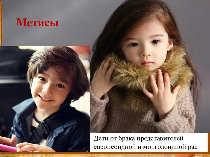 Метисы Дети от брака представителей европеоидной и монголоидной рас