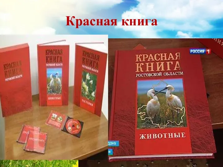 Красная книга