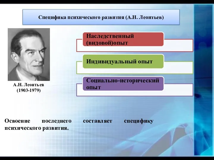 Специфика психического развития (А.Н. Леонтьев) Освоение последнего составляет специфику психического развития. А.Н. Леонтьев (1903-1979)