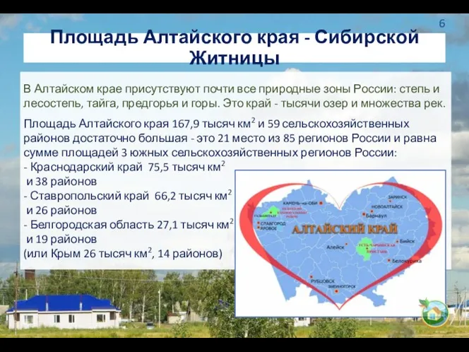 Площадь Алтайского края - Сибирской Житницы В Алтайском крае присутствуют почти все