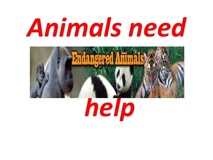Animals need help