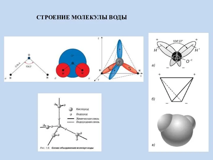 СТРОЕНИЕ МОЛЕКУЛЫ ВОДЫ