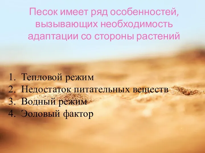 Песок имеет ряд особенностей, вызывающих необходимость адаптации со стороны растений Тепловой режим