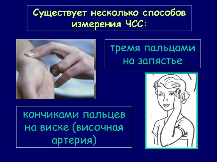 Существует несколько способов измерения ЧСС: тремя пальцами на запястье кончиками пальцев на виске (височная артерия)