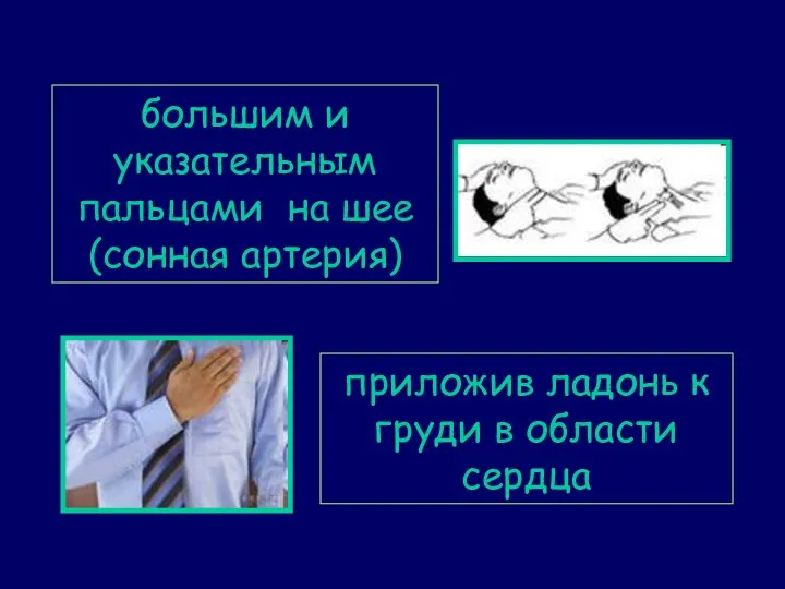 приложив ладонь к груди в области сердца большим и указательным пальцами на шее (сонная артерия)