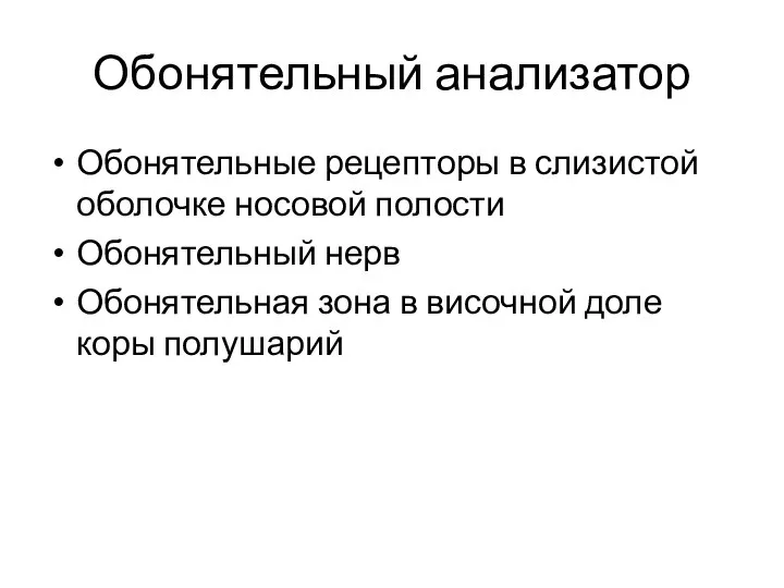 Обонятельный анализатор Обонятельные рецепторы в слизистой оболочке носовой полости Обонятельный нерв Обонятельная