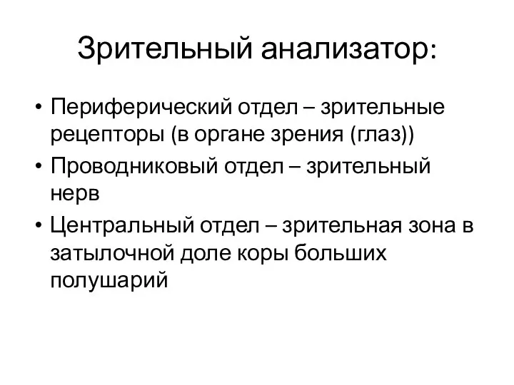 Зрительный анализатор: Периферический отдел – зрительные рецепторы (в органе зрения (глаз)) Проводниковый