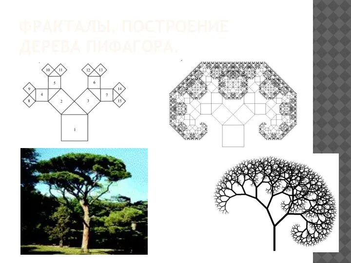 ФРАКТАЛЫ. ПОСТРОЕНИЕ ДЕРЕВА ПИФАГОРА.