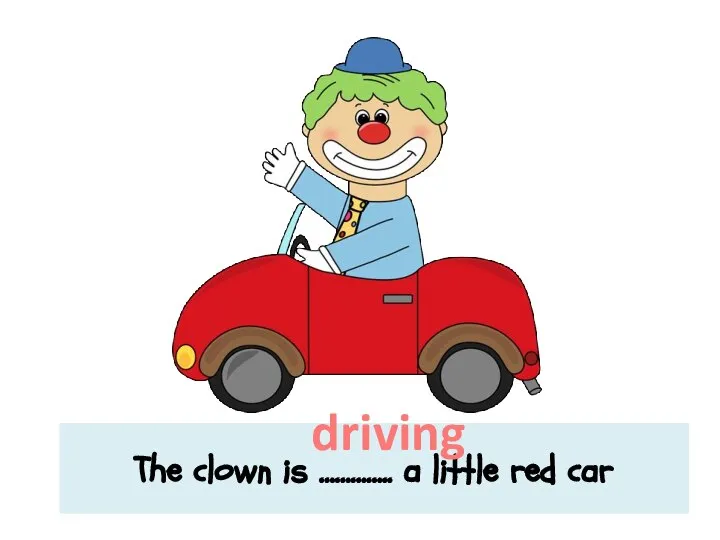 The clown is ………….. a little red car driving