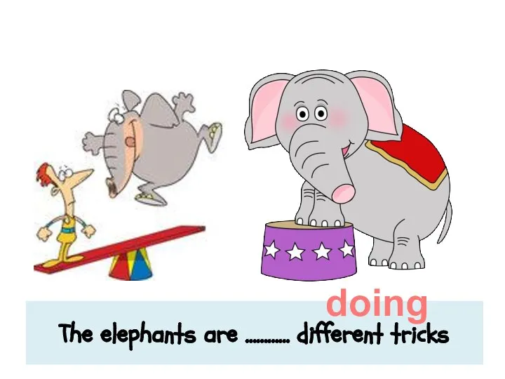 The elephants are ………… different tricks doing