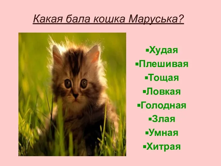 Какая бала кошка Маруська? Худая Плешивая Тощая Ловкая Голодная Злая Умная Хитрая