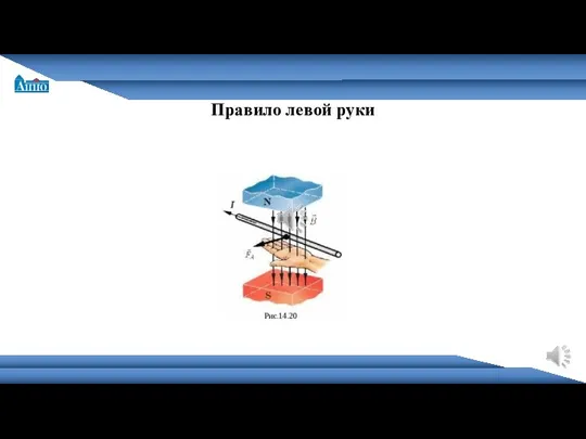 Санкт-Петербургская академия постдипломного педагогического образования Правило левой руки