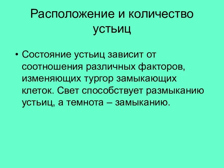 Расположение и количество устьиц Состояние устьиц зависит от соотношения различных факторов, изменяющих