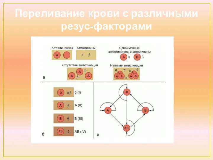 Переливание крови с различными резус-факторами