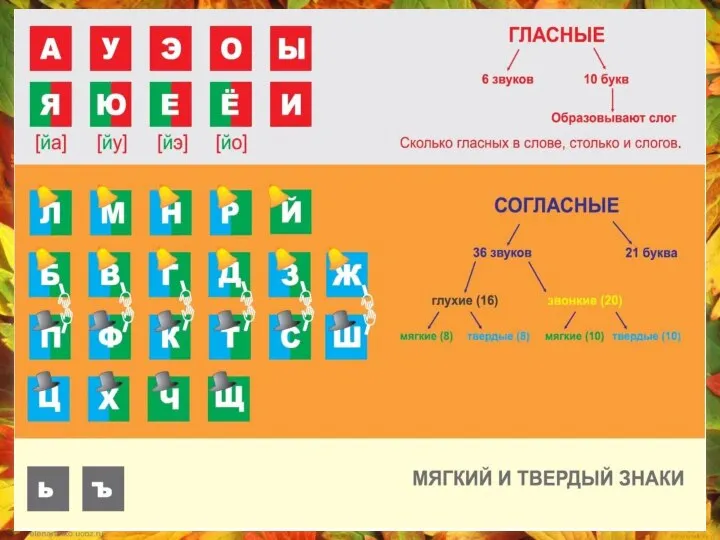 Какие звуки есть в русском языке?