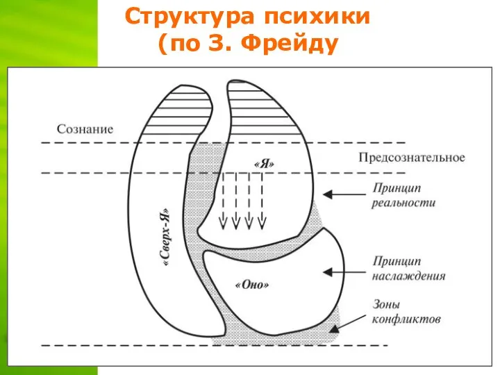 Структура психики (по З. Фрейду