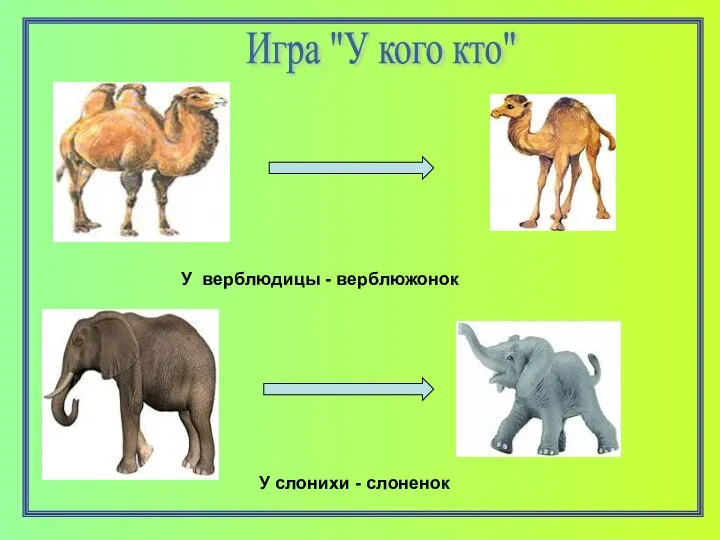 Игра "У кого кто" У верблюдицы - верблюжонок У слонихи - слоненок