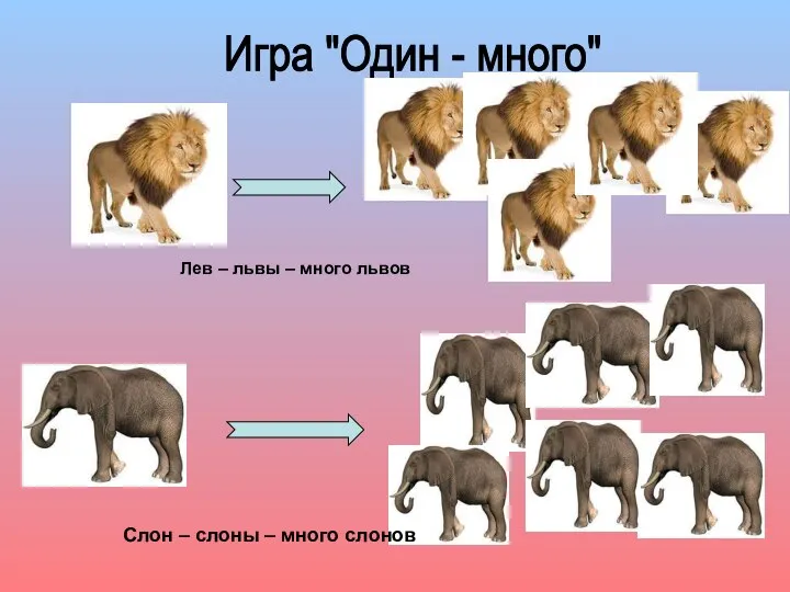 Игра "Один - много" Лев – львы – много львов Слон – слоны – много слонов