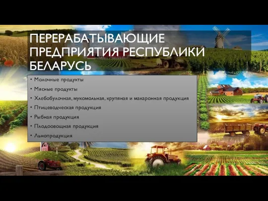 ПЕРЕРАБАТЫВАЮЩИЕ ПРЕДПРИЯТИЯ РЕСПУБЛИКИ БЕЛАРУСЬ Молочные продукты Мясные продукты Хлебобулочная, мукомольная, крупяная и