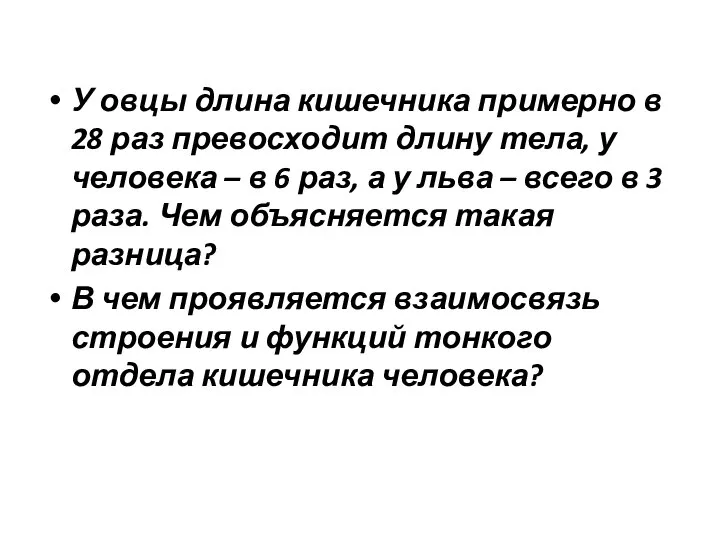 У овцы длина кишечника примерно в 28 раз превосходит длину тела, у