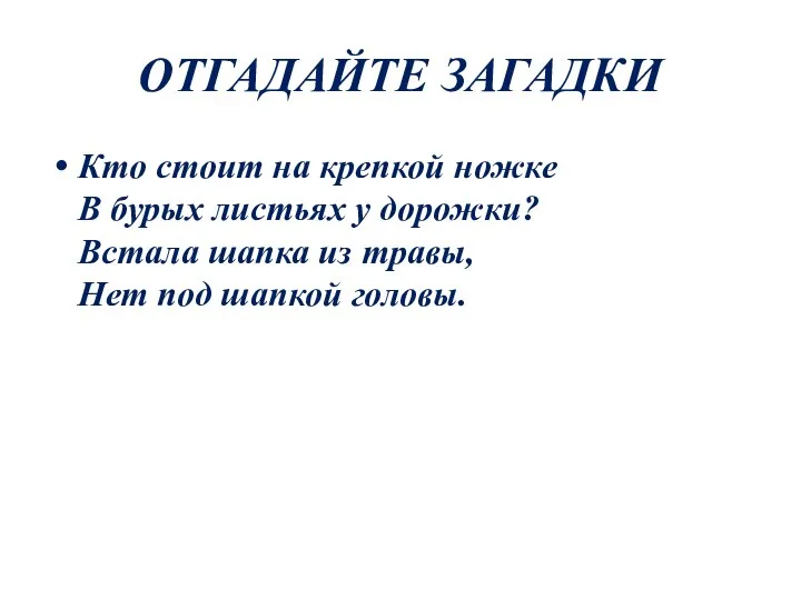 ОТГАДАЙТЕ ЗАГАДКИ Кто стоит на крепкой ножке В бурых листьях у дорожки?