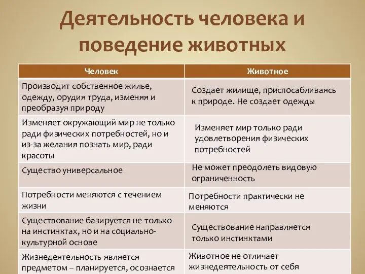 Деятельность человека и поведение животных Создает жилище, приспосабливаясь к природе. Не создает