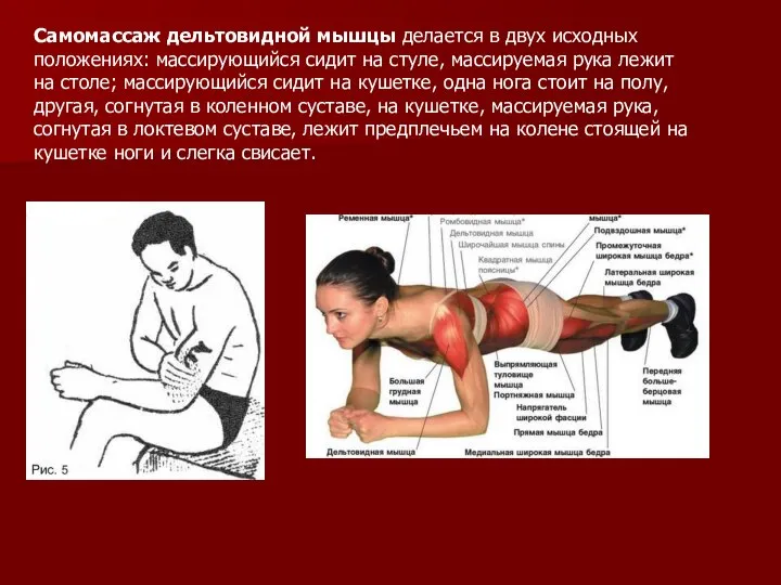 Самомассаж дельтовидной мышцы делается в двух исходных положениях: массирующийся сидит на стуле,