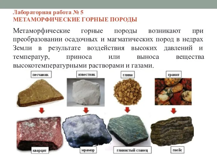 Лабораторная работа № 5 МЕТАМОРФИЧЕСКИЕ ГОРНЫЕ ПОРОДЫ Метаморфические горные породы возникают при