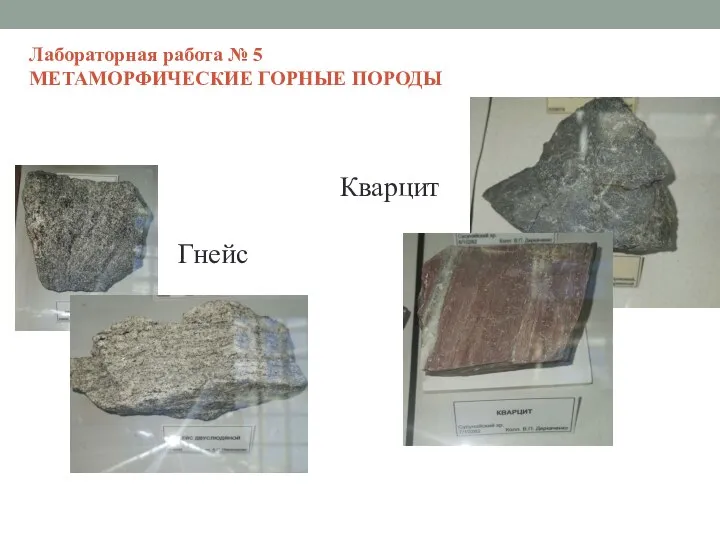 Лабораторная работа № 5 МЕТАМОРФИЧЕСКИЕ ГОРНЫЕ ПОРОДЫ Гнейс Кварцит