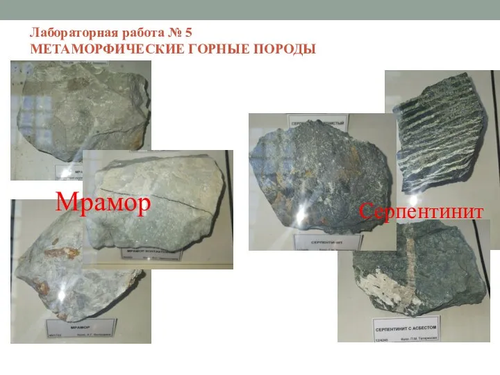 Лабораторная работа № 5 МЕТАМОРФИЧЕСКИЕ ГОРНЫЕ ПОРОДЫ Мрамор Серпентинит