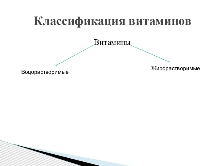 Витамины Классификация витаминов Водорастворимые Жирорастворимые