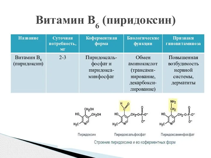 Витамин В6 (пиридоксин)