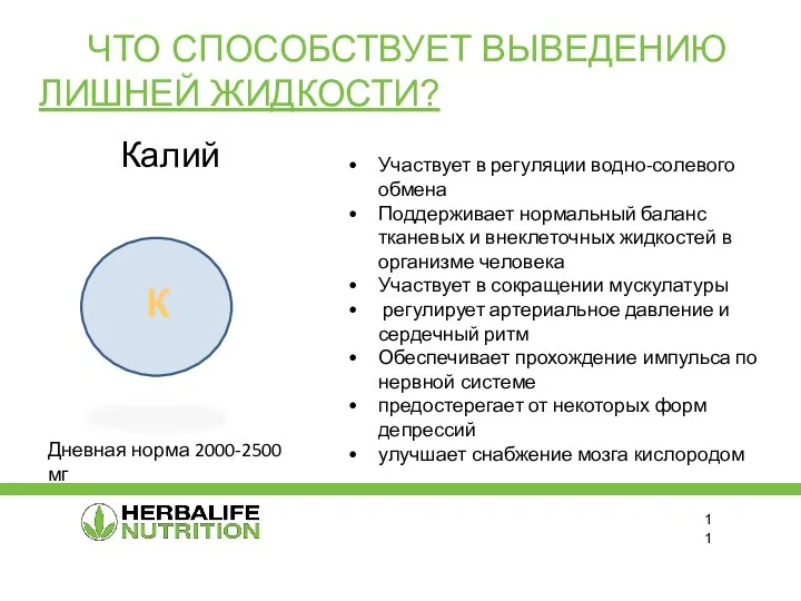 ЧТО СПОСОБСТВУЕТ ВЫВЕДЕНИЮ ЛИШНЕЙ ЖИДКОСТИ? Участвует в регуляции водно-солевого обмена Поддерживает нормальный