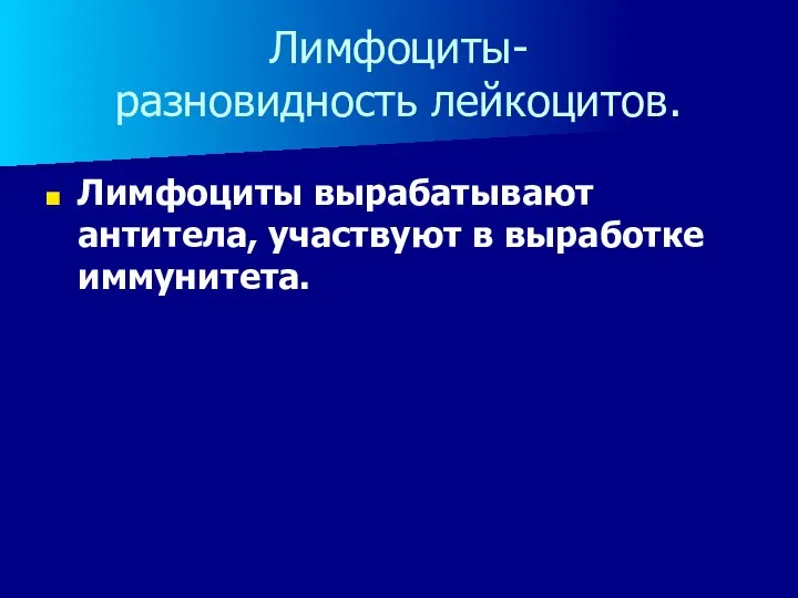 Лимфоциты- разновидность лейкоцитов. Лимфоциты вырабатывают антитела, участвуют в выработке иммунитета.