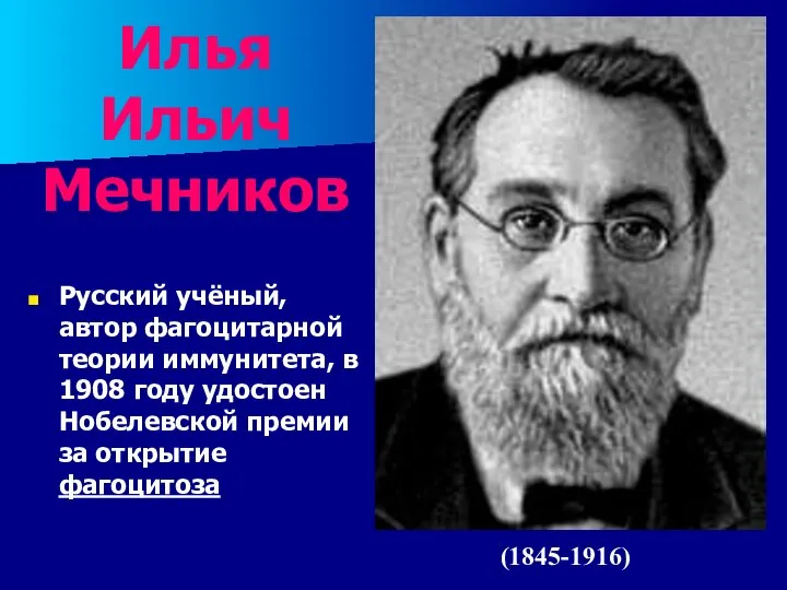 Илья Ильич Мечников Русский учёный, автор фагоцитарной теории иммунитета, в 1908 году