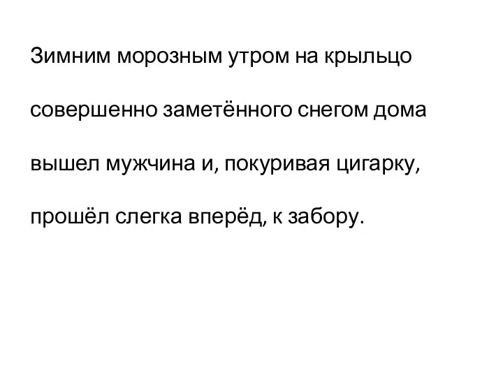 Зимним морозным утром на крыльцо совершенно заметённого снегом дома вышел мужчина и,