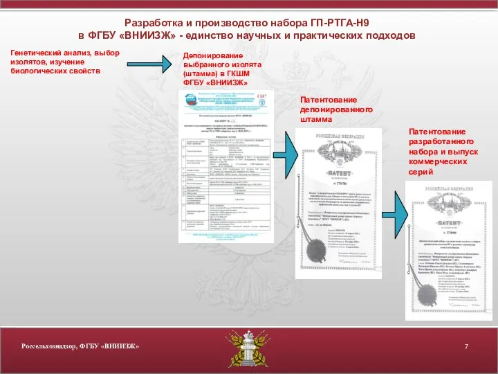 Разработка и производство набора ГП-РТГА-Н9 в ФГБУ «ВНИИЗЖ» - единство научных и