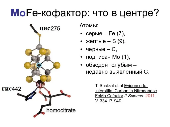 MoFe-кофактор: что в центре? Атомы: cерые – Fe (7), желтые – S