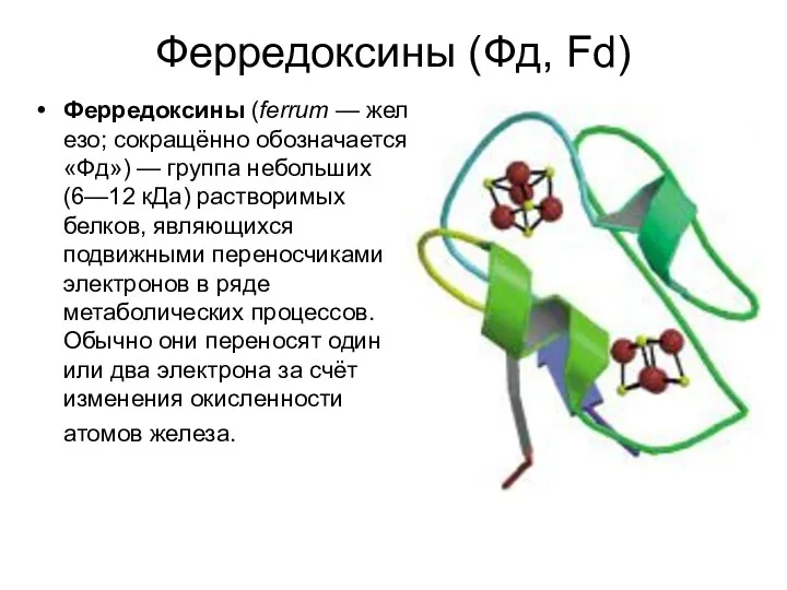 Ферредоксины (Фд, Fd) Ферредоксины (ferrum — железо; сокращённо обозначается «Фд») — группа
