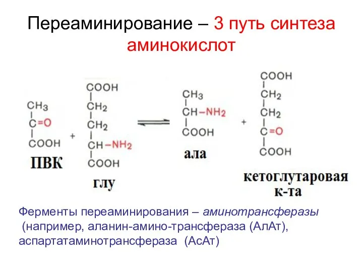 Переаминирование – 3 путь синтеза аминокислот Ферменты переаминирования – аминотрансферазы (например, аланин-амино-трансфераза (АлАт), аспартатаминотрансфераза (АсАт)