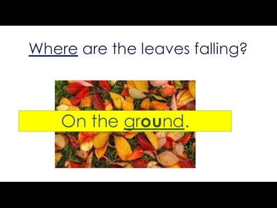Where are the leaves falling? On the ground.