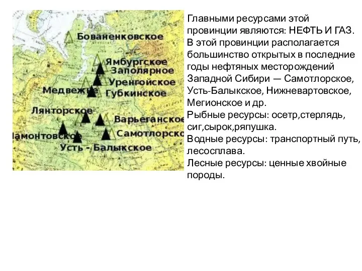 Главными ресурсами этой провинции являются: НЕФТЬ И ГАЗ. В этой провинции располагается