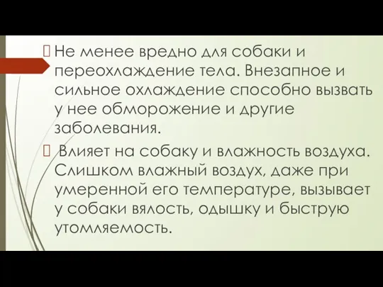 Не менее вредно для собаки и переохлаждение тела. Внезапное и сильное охлаждение