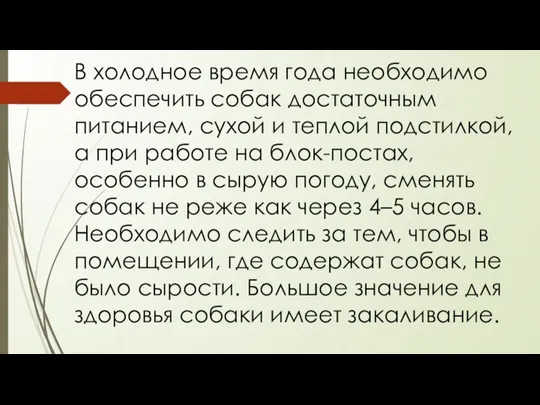 В холодное время года необходимо обеспечить собак достаточным питанием, сухой и теплой