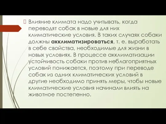 Влияние климата надо учитывать, когда переводят собак в новые для них климатические