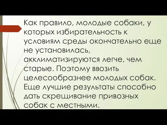 Как правило, молодые собаки, у которых избирательность к условиям среды окончательно еще